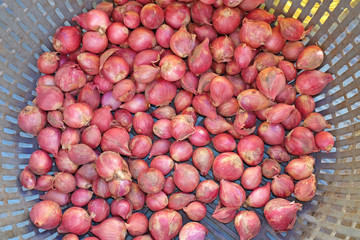 Red onions in basket