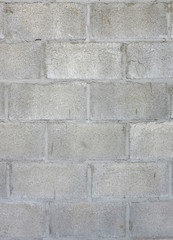 Gray brick wall background.