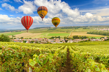 Colorful hot air balloons flying over champagne Vineyards at sunset montagne de Reims, France - obrazy, fototapety, plakaty