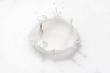 Close up of white milk splash and drop on white background