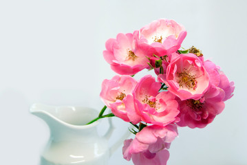 White vase with flowers on a light background, close-up