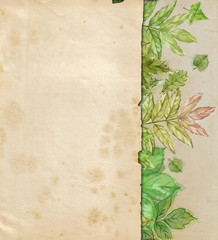 Vintage Paper Page with Green Tree Leaves Under. Botanical Illustration with Blank Textured Surface for Text or Design. 