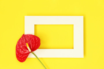 Summer mockup photo frame with flower on yellow background