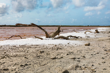 Bonaire, Saline auf der karibischen Insel.