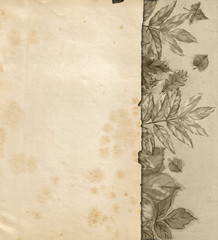 Vintage Paper Page with Sepia Tree Leaves Under. Botanical Illustration with Blank Textured Surface for Text or Design. 