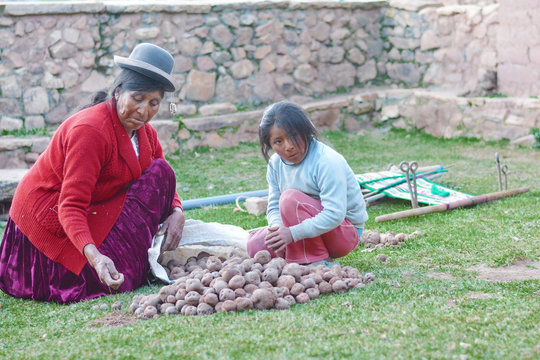 Native american grandmother and granddaughter working with potato outside.