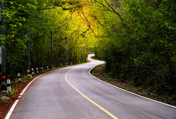 A long the way of road on mountain , sunlight ray , green and orange trees beside way with fresh...