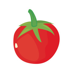 tomato fresh vegetables icon vector ilustrate