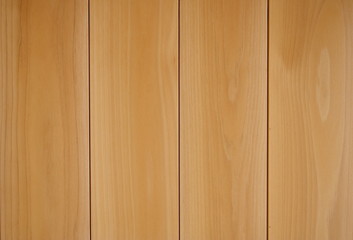 white cedar(Chamaecyparis, hinoki cypress ,Japanese cypress) is beautiful and good fragrance.