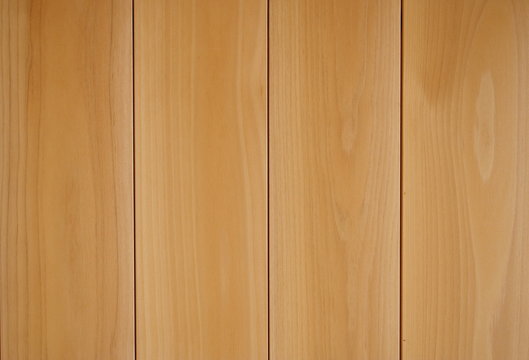 white cedar(Chamaecyparis, hinoki cypress ,Japanese cypress) is beautiful and good fragrance.