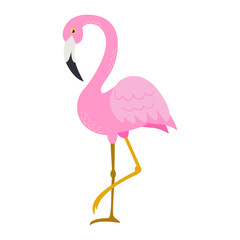 Vector cute African animal. Flamingo. Funny character for kids.