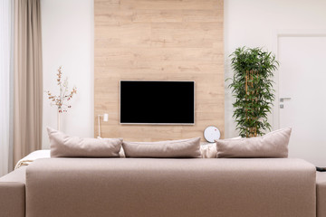 Modern minimalistic luxury apartment with couch and pillows and flat-screen lcd TV on the wooden wall, vase and plant