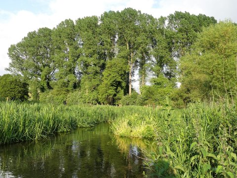 The River Chess, A Chalk Stream In The Chiltern Hills, Hertfordshire, UK