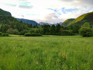 Naklejka premium Triglav National Park