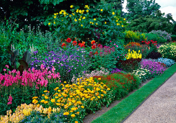 Blocks of colour with mixed planting in a long sunny border in a country garden