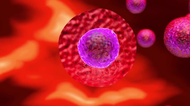 Embryonic stem cells Cellular therapy Regeneration Disease treatment