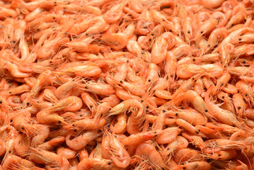 Tasty fresh shrimps as background.