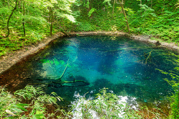 【青森県深浦町-青池】十二湖の森セラピーロードの人気スポット青池は十二湖最大の見所