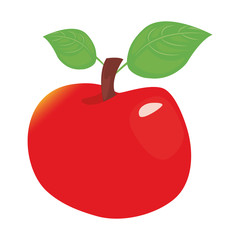 apple fresh delicious fruit nutrition