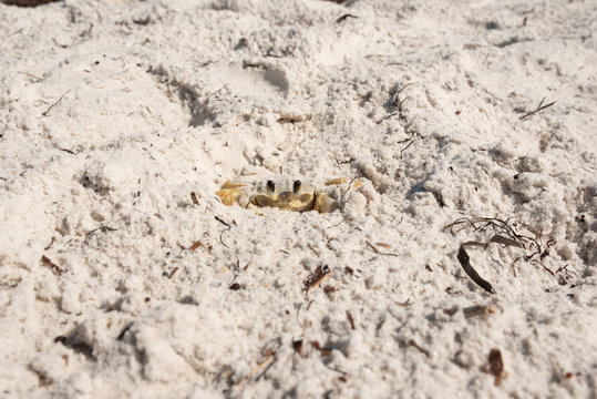 Carb under sand 