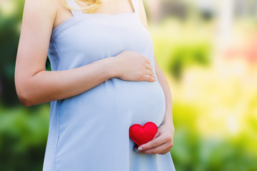 A pregnant woman in a blue dress holds in her hands a red heart in a summer park. Pregnancy, parenthood, motherhood concept. Love for children concept with copy space.