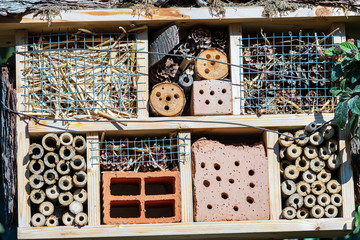 Insect House for the protection of biodiversity. Small shelter or nest made from natural and...