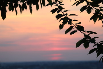 Sunset - Redsky © Tomasz