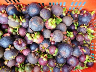 Top view of mangosteen fruits in the market for sale at Thailand, Tropical fruit, ready to eat
