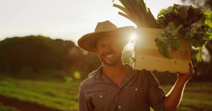 Portrait of young smiling farmer holding fresh organic vegetable harvest at sunset with green crop fields in the background