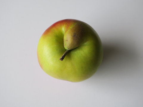 shy red and green apple with a woody stalk