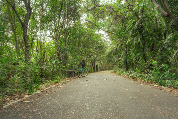 Obraz premium A paved road for biking surrounded by shady lush green foliage tropical forest in summer. Bang Kachao, Thailand.