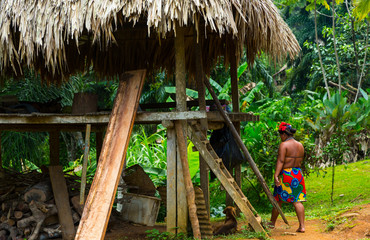 Embera Ethnic Group Community, Chagres River, Chagres National Park, Colon Province, Panama,...