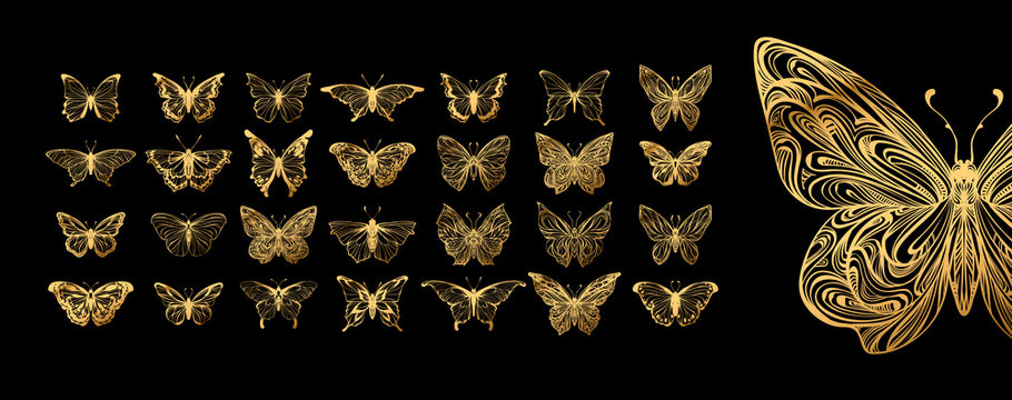 Fototapeta Set of butterflies, ink silhouettes. Glowworms, fireflies and butterflies icons isolated on white background. Hand drawn elements, Vector illustration.