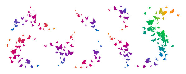 Set of butterflies, ink silhouettes. Glowworms, fireflies and butterflies icons isolated on white background. Hand drawn elements, Vector illustration.