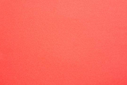 color coral background