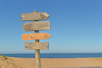 wooden signs on a post in a beach under blue sky - Powered by Adobe