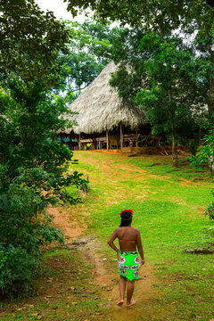 Embera Ethnic Group Community, Chagres River, Chagres National Park, Colon Province, Panama, Central America, America