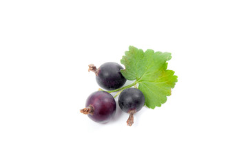 Black currant berry isolated on white. A bunch of black currant..