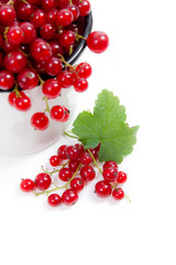 White cup with red currant berry in it and small bunch of red currant with green leaf  isolated on white..