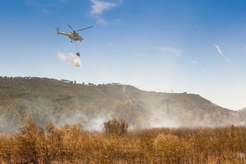 helicopters of firefighters putting out a forest fire