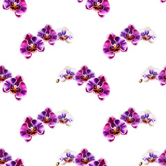 Naklejka na ściany i meble Seamless pattern from orchid flowers. Watercolor painting. Exotic plant. Floral print. Botanical composition. Wedding and birthday. Greeting card. Flower painted background. Hand drawn illustration.