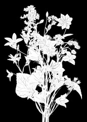 white sketch of wild flowers bunch