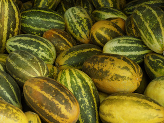 Yellow Indian cucumbers on the market in Kochi, Kerala