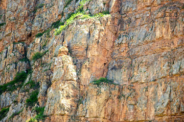 Mountain hill panoramic landscape in the early morning