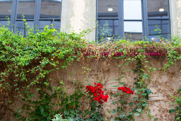 flowers on the facade of the building