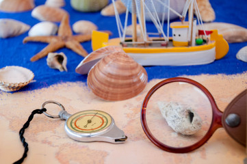 Shells  