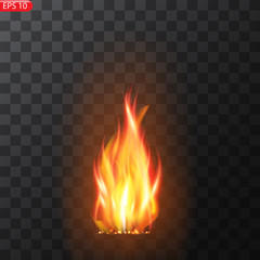 Realistic burning fire flames vector 