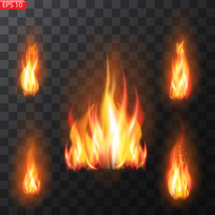 Realistic burning fire flames vector 