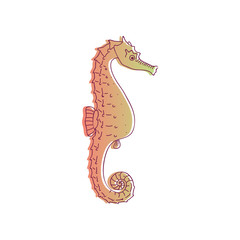 Seahorse of red color with a thin black contour. Vector illustration on white background.