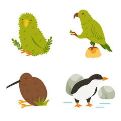 Set of New Zealand birds kea, kakapo, kiwi, penguin